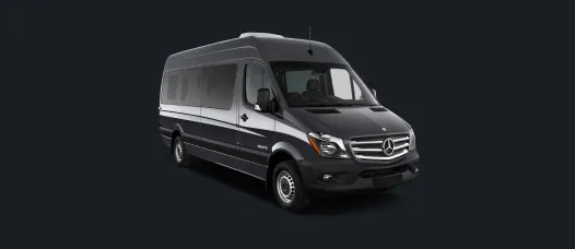 Mercedes Sprinter VIP  8 мест с водителем